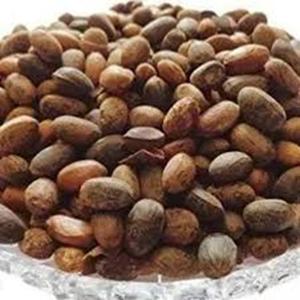 Aceite de Semillas de Jatropha Secas de Grado Alimenticio Bien Maduradas, Extracto Líquido de Cultivo Silvestre, Envasado en Bidones, Disponible para la Venta, Precio de Fábrica - Product Image 4