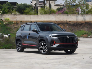 SUV Compacto 2024, Gasolina, DCT Automático, Interior Moderno, Nuevo Modelo, Volante a la Derecha, Cuero, Aleación de Aluminio, R17, Techo Panorámico - Product Image 2