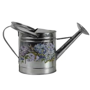 บัวรดน้ำสแตนเลสสำหรับระเบียงกระถางดอกไม้โลหะของขวัญขึ้นบ้านใหม่ - Product Image 1