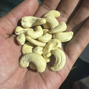 Fournisseur vietnamien de confiance Kaju Badam SANTIGO Noix de cajou séchées Noix de cajou en vrac bon marché W180 W240 W320 - Product Image 1