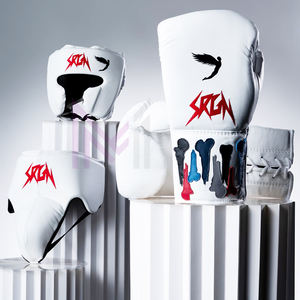 Ensemble de boxe d'entraînement professionnel 2026, logo personnalisé, équipement d'entraînement, ensemble de boxe, dernier modèle, ensemble de boxe d'entraînement Fly - Product Image 1