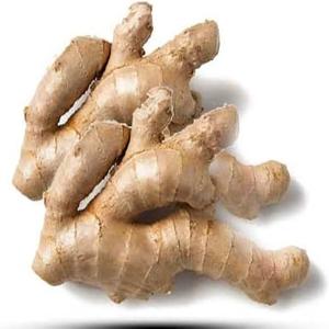 Gingembre frais biologique naturel nouvelle récolte prix de gros stock disponible en stock livraison rapide à vendre - Product Image 3