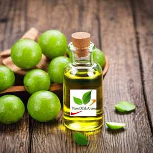 Fabricante Mayorista de Aceite de Semilla de Amla 100% Puro y Natural para Cuidado Personal, Aceite de Semilla de Amla de la India Directo de Fábrica - Product Image 1