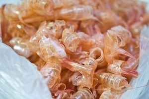 ตัวเลือกที่ดีที่สุดสำหรับอาหารสัตว์ที่มีโปรตีนสูง |   ผงเปลือกกุ้ง/เปลือกกุ้งแห้ง - Product Image 3