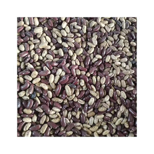 Fèves de sucre entreposées et expédiées dans des conditions optimales pour l'exportation - Product Image 1