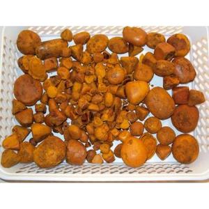 Cálculos biliares bovinos, cálculos biliares de vaca buey, cálculos biliares de ganado - Product Image 6