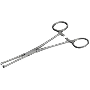 Pinzas de tejido para bebé Allis con mandíbulas dentadas para un agarre de tejido firme y seguro Fabricante de pinzas de tejido para bebé Allis de 6 pulgadas - Product Image 6