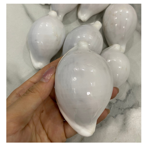 เปลือกหอยไข่ธรรมชาติสำหรับพวงกุญแจ DIY เครื่องประดับแฮนด์เมดตกแต่งงานแต่งงานงานปาร์ตี้และงานหัตถกรรมบ้าน - Product Image 2