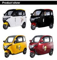 2024 EEC COC CE Voiture électrique à quatre roues TUK TUK Quad Cycle électrique pour adultes sans batterie