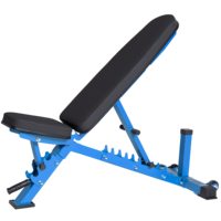 Banc de musculation professionnel DINUO à inclinaison réglable avec support pour les jambes, multi-positions pour les exercices de pectoraux et de renforcement du tronc