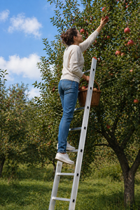 European Design Style 5 Meter Aluminum Alloy Straight Single-Side <b>Ladder</b> 150kg Load Capacity Outdoor Warehouse & Staircase Use - Product Image 2