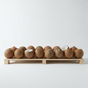 Noix de coco en gros, noix naturelles séchées, export en vrac, fournisseur direct d'usine pour les supermarchés de détail et les acheteurs de noix en gros - Product Image 1