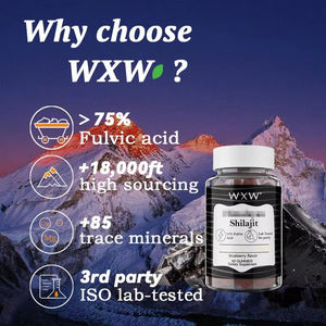 Gummies de Shilajit WXW en stock : Soutien immunitaire, sans sucre, vitamines, boost d'énergie - Product Image 3