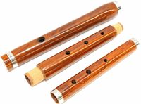 Flûte à bec professionnelle irlandaise écossaise en bois de noyer à 5 clés, avec étui rigide, plaqué argent, 6 trous, tonalité Ré