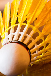 Volant de badminton personnalisé professionnel - Product Image 2