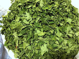 NOUVEAU 2024 HAUTE QUALITÉ 100% Feuilles de Moringa séchées naturelles du VIETNAM pour thé aux herbes bon pour la santé - Product Image 3