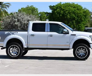 FORD F-150 XLT 4X4 SUPERCREW 2017 USADO, MÁS VENDIDO, CON VOLANTE A LA IZQUIERDA/DERECHA - Product Image 6