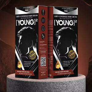 Crème de teinture capillaire végétalienne professionnelle Ingrédients organiques Couverture grise à faible teneur en ammoniac Aucun emballage personnalisé OEM du Vietnam - Product Image 1
