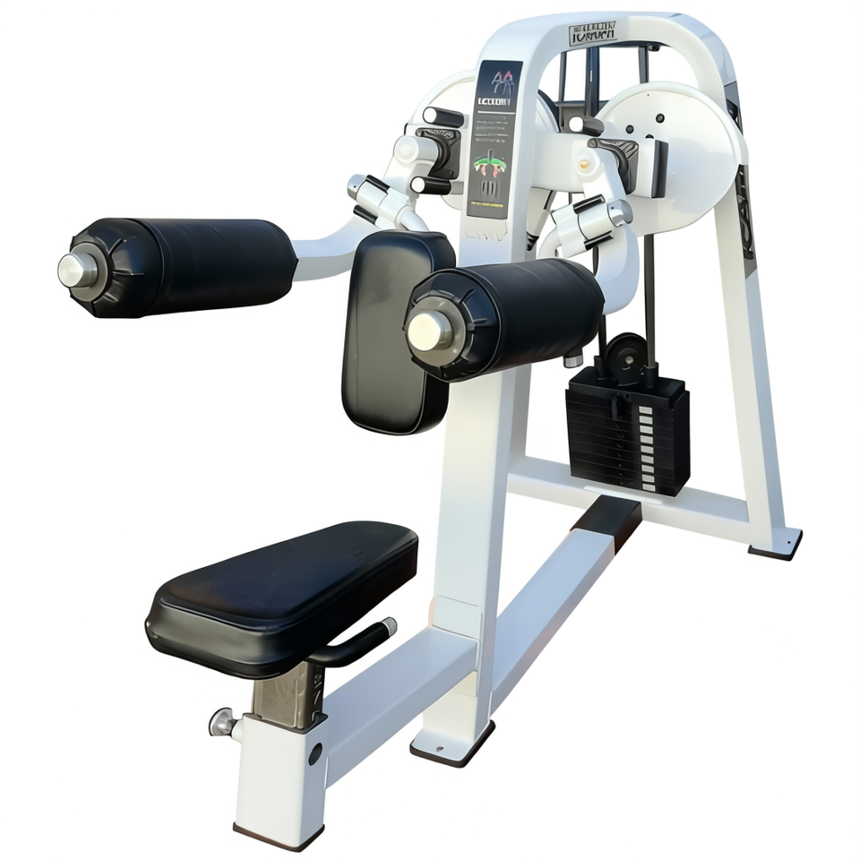 Machine Assembly Slide Verified Seller Icarian Steel Plate Loaded Lateral Raise Machine ...