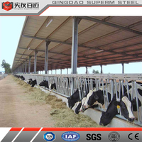 Abri pour animaux, abri pour chèvres à bas prix, de 1000 à 100 000 pieds carrés, abri pour ferme laitière, abri pour bétail vivant, abri pour ferme