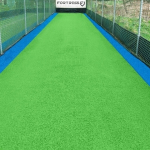 Cage d'entraînement et de pratique essentielle pour le cricket avec filet, poteau en fer noir - Product Image 5