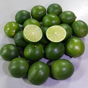 ไร้เมล็ดมะนาวในเวียดนามไม่มีเมล็ดมะนาวที่มีคุณภาพดีผลิตภัณฑ์การเกษตรไม่มีเมล็ดมะนาววันหยุด - Product Image 1