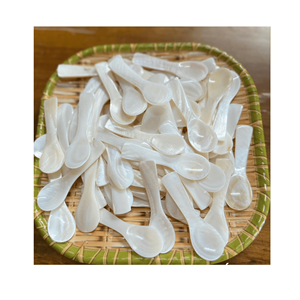 Exquise cuillère à coquillages du Vietnam avec cuillère à coquillages en nacre scintillante pour caviar et vaisselle à dessert élégante - Product Image 1