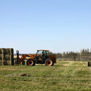 Foin de luzerne de haute qualité Afrique du Sud Fabriqué SA Excellente source Fibre de protéine Pureté Riche Valeur nutritive Alimentation serrée à l'air pour animaux - Product Image 1