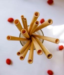 Pajitas de bambú de oro rosa de Vietnam de alta calidad reutilizables respetuosas con el medio ambiente sin BPA conjunto cantidad a granel logotipo del cliente - Product Image 5