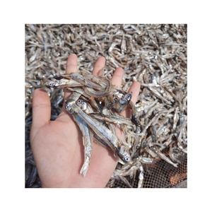 Anchoa seca superior de grado superior, de origen amigable e ideal para cocina asiática auténtica y dietas ricas en proteínas. - Product Image 2