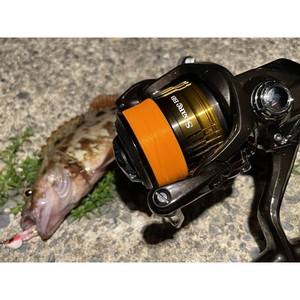 DUEL ARMORED F Horse Mackerel/Rockfish <b>Fishing</b> Line 100-150m (Number: 0.2/0.3/0.4) - Product Image 2