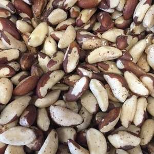 Nueces de Brasil Crudas Orgánicas al por Mayor - 100% Naturales, Secas al Sol, Empaque Personalizado para Exportación, Uso Alimentario, en Venta - Product Image 1