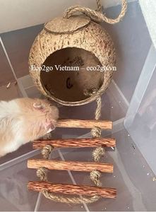 Maison d'oiseau en coquille de noix de coco suspendue/nid de noix de coco pour oiseau avec sécurité d'échelle pour votre oiseau fait de haute qualité - Product Image 5