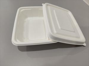 กล่องอาหารกลางวันแบบใช้แล้วทิ้งคุณภาพดีที่สุด ผลิตจากชานอ้อย ย่อยสลายได้ ขนาด 13 x 6 ซม. แบบฝาพับ พร้อมจัดส่งฟรี - Product Image 6