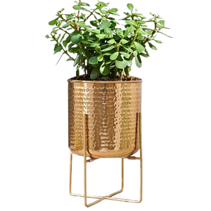 กระถางต้นไม้โลหะตีขึ้นรูป - Product Image 3