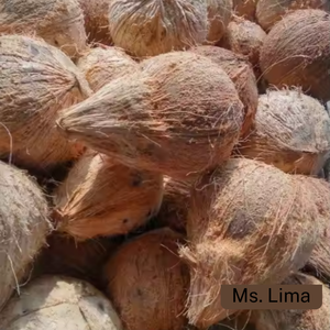 Cocos Maduros Enteros de Alta Calidad para Extracción de Aceite, Cocina y Uso Industrial, Exportación a Granel Disponible/ Sra. Lima - Product Image 5