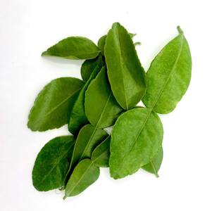 Origen Francia LQF Espinacas Congeladas de Congelación Rápida Hojas Enteras Cortadas en Trozos de 3-5 cm Picadas al Vapor Grado A para Exportación - Product Image 2