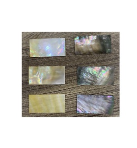 Losa de nácar precortada de alta calidad personalizada de 38mm X 25mm X 1,5mm, artesanías naturales blancas, amarillas y negras para decoración del hogar - Product Image 1