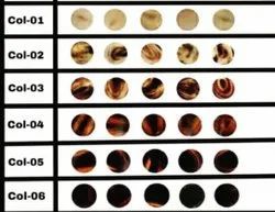 Bouton FaizacraftHorn en gros boutons en os de corne naturelle de haute qualité bouton en corne de buffle véritable - Product Image 2