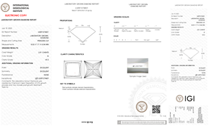 IGI Certified VS2 Clarity 2,81 Carat Princess Cut Lab Grown Diamantes sueltos para hombres Mujeres Compromiso Aniversario de bodas - Product Image 6