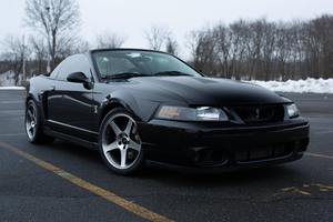 Ford Mustang SVT Cobra Convertible 2003 - Product Image 3
