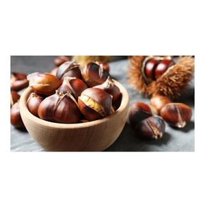 Buena Venta de castañas frescas importadas de alta calidad a la venta - Product Image 4