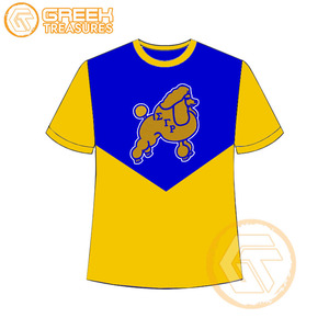 Vente en gros de t-shirt Sigma Gamma Rho pour femmes vêtements de sororité jersey de coton t-shirt respirant de haute qualité vêtements grecs pour femmes - Product Image 3