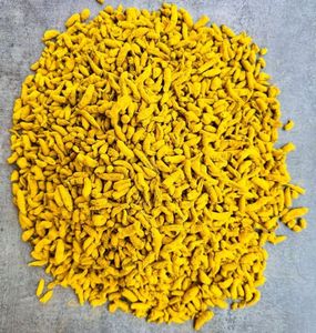 Épices et herbes individuelles TUKDI curcuma de qualité supérieure, poudre de curcuma naturelle idéale pour la cuisine, l'assaisonnement, l'utilisation culinaire et la guérison - Product Image 6
