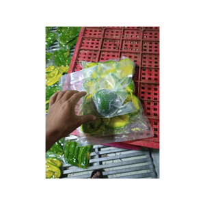 Suministro a granel de pulpa de aguacate de Vietnam con textura suave y rico perfil nutricional adecuado para fabricantes de alimentos saludables - Product Image 4