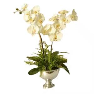 El último diseño curvo a mano, jarrones y macetas de flores pulidos en oro brillante, buena calidad, suministros de decoración para el hogar y la habitación - Product Image 2