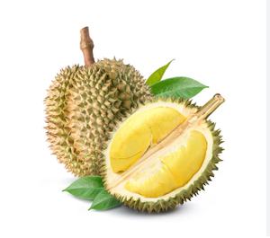 VDELTA IQF Pulpe de durian congelé Emballage sous vide du Vietnam - Product Image 4