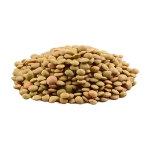 High Quality Bulk Dried whole split Lentils Red Lentils Green Lentils