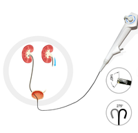 Vente chaude, fourniture professionnelle, système d'endoscopie vétérinaire, bronchoscope, appareil d'imagerie médicale flexible