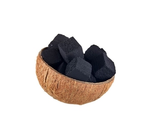 Bán sỉ giá 100% vỏ dừa than hoạt tính cho nguyên liệu - Product Image 3